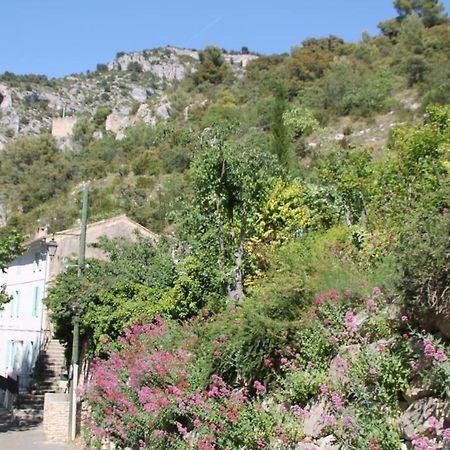 Au Bonheur De Lili Leilighet Fontaine-de-Vaucluse Eksteriør bilde